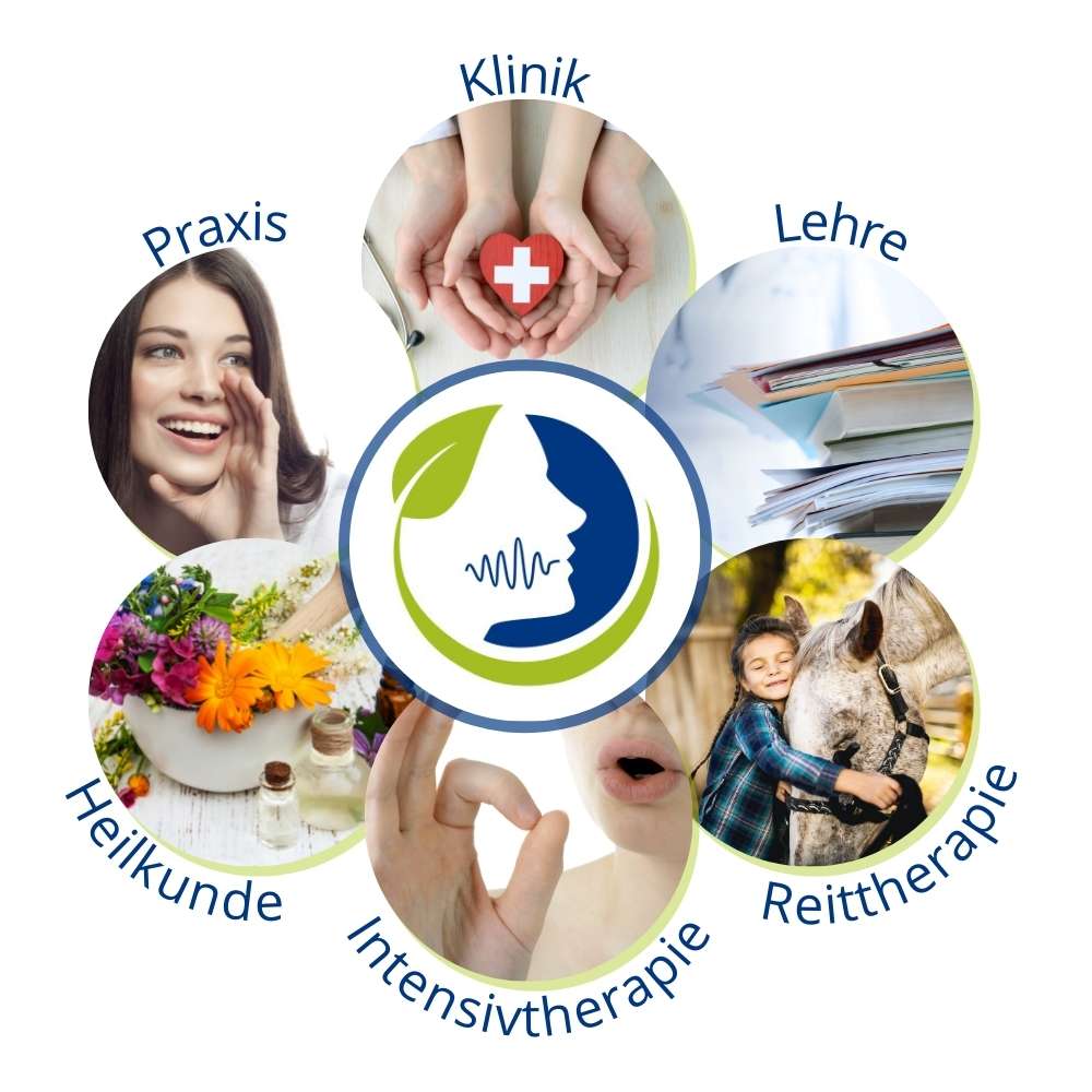 Logopaedie Arbeitsbereiche