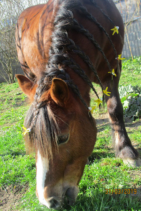 Moritz, 15 Jahre alt