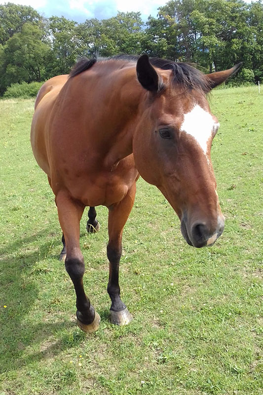 Revenues Showtime, Rufname "Raven", 21 Jahre alt